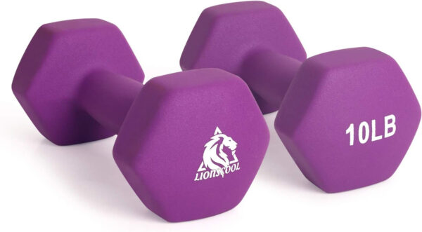 6893494513d0fd830d79fb4e05ba93afcd9237a5fbe9e976eaff3.jpg LIONSCOOL Set of 2 Neoprene Coated Dumbbell Hand Weights, Anti-Slip and Anti-Roll Hex Dumbbells in Pair for Strength Training, Resistance Training