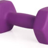 689349480fab7aebc7bd3cfed258fec9ea5943ce4d4c448dc050a.jpg LIONSCOOL Set of 2 Neoprene Coated Dumbbell Hand Weights, Anti-Slip and Anti-Roll Hex Dumbbells in Pair for Strength Training, Resistance Training