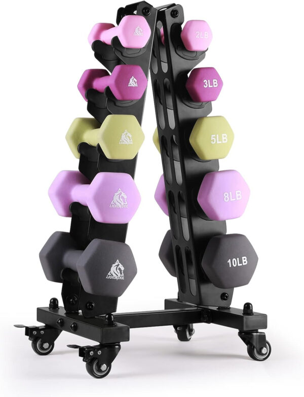 68934948e24dea721579fcf54736f8ac83da35a9fb0398a5525f9.jpg LIONSCOOL Set of 2 Neoprene Coated Dumbbell Hand Weights, Anti-Slip and Anti-Roll Hex Dumbbells in Pair for Strength Training, Resistance Training