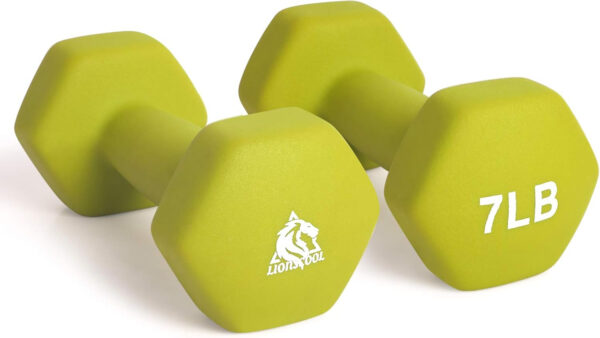 68934957e73e8b4052db68c2e0cfcd69423fe48b35881a3dfdfcb.jpg LIONSCOOL Set of 2 Neoprene Coated Dumbbell Hand Weights, Anti-Slip and Anti-Roll Hex Dumbbells in Pair for Strength Training, Resistance Training