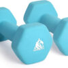68934965933ee94ac5171eb83c0604953d55af92dfc8c6fd80912.jpg LIONSCOOL Set of 2 Neoprene Coated Dumbbell Hand Weights, Anti-Slip and Anti-Roll Hex Dumbbells in Pair for Strength Training, Resistance Training