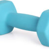 6893496a24984bb272ae19b1cc6394ac3adc49035d42f84128380.jpg LIONSCOOL Set of 2 Neoprene Coated Dumbbell Hand Weights, Anti-Slip and Anti-Roll Hex Dumbbells in Pair for Strength Training, Resistance Training