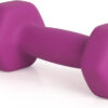 68934976f154337bf7ec0a0c84d25dfab6446886280f4f7446ce3.jpg LIONSCOOL Set of 2 Neoprene Coated Dumbbell Hand Weights, Anti-Slip and Anti-Roll Hex Dumbbells in Pair for Strength Training, Resistance Training