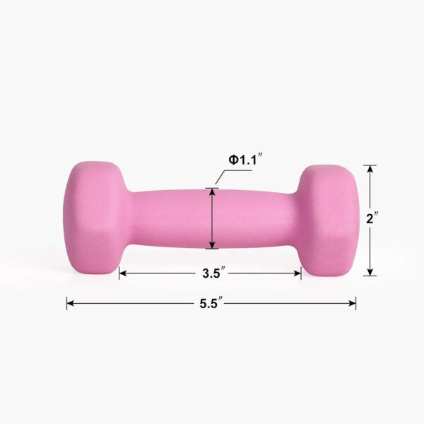 689349798c4f43a298a54c3cda487da2dd04685abe73dd01b4d3d.jpg LIONSCOOL Set of 2 Neoprene Coated Dumbbell Hand Weights, Anti-Slip and Anti-Roll Hex Dumbbells in Pair for Strength Training, Resistance Training