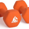 689349827d4a1c7cd220b4ac3a1e8ea9792fa56005d339e4ccdc0.jpg LIONSCOOL Set of 2 Neoprene Coated Dumbbell Hand Weights, Anti-Slip and Anti-Roll Hex Dumbbells in Pair for Strength Training, Resistance Training
