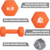 689349834c0f63fa2fc64244c0cef721785ca7c08c653df64bd50.jpg LIONSCOOL Set of 2 Neoprene Coated Dumbbell Hand Weights, Anti-Slip and Anti-Roll Hex Dumbbells in Pair for Strength Training, Resistance Training