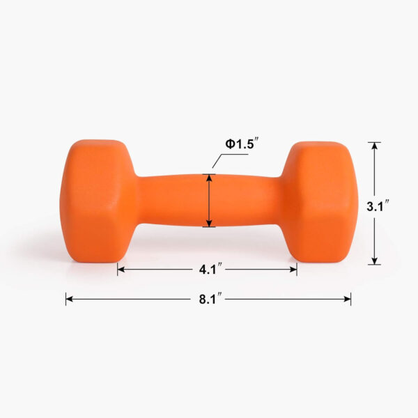 6893498a41ec8811f045465a1012b1dd8a5c0362434fcb192de73.jpg LIONSCOOL Set of 2 Neoprene Coated Dumbbell Hand Weights, Anti-Slip and Anti-Roll Hex Dumbbells in Pair for Strength Training, Resistance Training