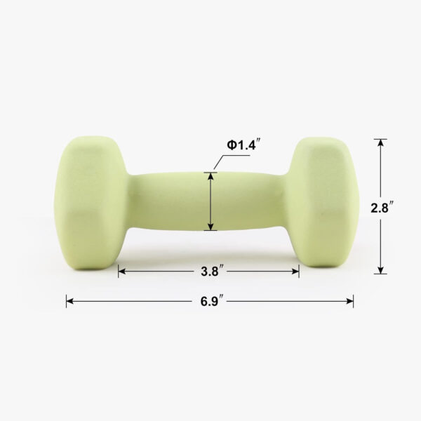 6893498ee4f6db20e2e7efcdb71d3f5a80a090f19690f38ed3a2b.jpg LIONSCOOL Set of 2 Neoprene Coated Dumbbell Hand Weights, Anti-Slip and Anti-Roll Hex Dumbbells in Pair for Strength Training, Resistance Training