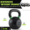 Single Cast Iron Kettlebell | Powder Coated - Wide Handle Weights for Core & Glute Workouts Swings, Squats, Deadlifts Strength, Endurance & Flexibility for Men & Women
