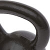 68935107bff86d8ac49658e0cdce6f689a8f12f8bcfd4a87586fc.jpg Amazon Basics Cast Iron Kettlebell