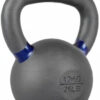 689351c7573dace870b8fecbea361515bd5e1a0b0ae925f1a7341.jpg Lifeline Strength Training Kettlebell Weight for Home Gym, 40Kg Kettlebell