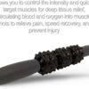 689358e3c1ab63585627d71bd7ef2fddce9e477ef1e6309676302.jpg 321 STRONG 5 in 1 Foam Roller Set with Hollow Core Deep Tissue Massager, Muscle Roller Stick, Stretching Strap, Spikey Plantar Fasciitis Ball, and Carry Bag, with 4K eBook