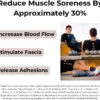 6893596939b7c677f1c8caff3db4c8abed848826ad8f5408a7e03.jpg Rollga - The Better Foam Roller for Back Pain, Flexibility, Muscle Recovery, Yoga, Pilates, Deep Tissue Massage, Headache, Physical Therapy, & Exercise. Neck, Back, Legs, & Feet