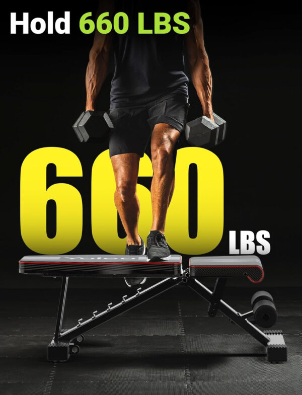 68936a282be59f921e9d1d48dfea112099a6723b87a8c646ab4e8.jpg Yoleo Adjustable Weight Bench for Full Body Workout Foldable Bench Press Bench of Home Gym Strength Training Incline Decline Flat Utility Workout Bench with Quick Folding& Fast Adjustment (Black)