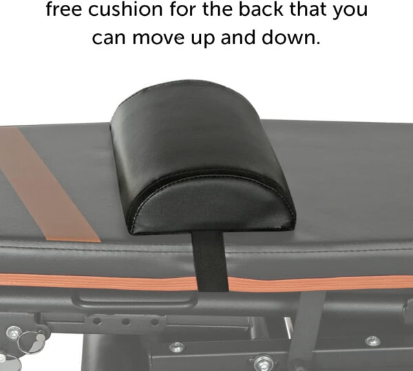 Gymenist Exercise Bench Adjustable Foldable Compact Workout Weight Bench Easy To Carry NO ASSEMBLY NEEDED, Black-Orange (FOLD-110B)