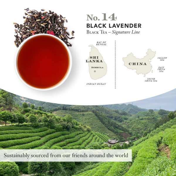 Steven Smith Teamaker Amazon Exclusive Variety Pack Sampler, 10 Flavors of Black, Green, Herbal Tea, Sugar-Free, Sustainably Grown, Full Leaf, Plant Based Tea Bags, 30 Sachets, 0.78oz each