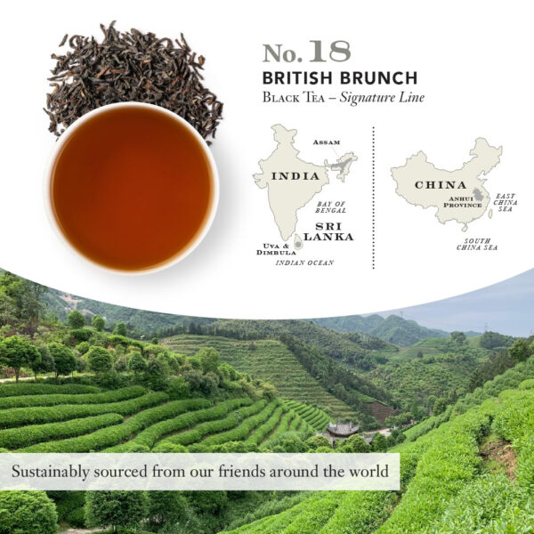 Steven Smith Teamaker Amazon Exclusive Variety Pack Sampler, 10 Flavors of Black, Green, Herbal Tea, Sugar-Free, Sustainably Grown, Full Leaf, Plant Based Tea Bags, 30 Sachets, 0.78oz each