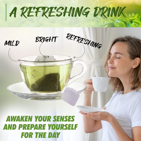 Fusion Select 200 Counts Organic Green Tea - Fresh Herbal Drink with Mild & Bright Flavor - Easy to Brew - Relaxing Tea Beverages with Antioxidant Support - Individually Wrapped Tea Bags