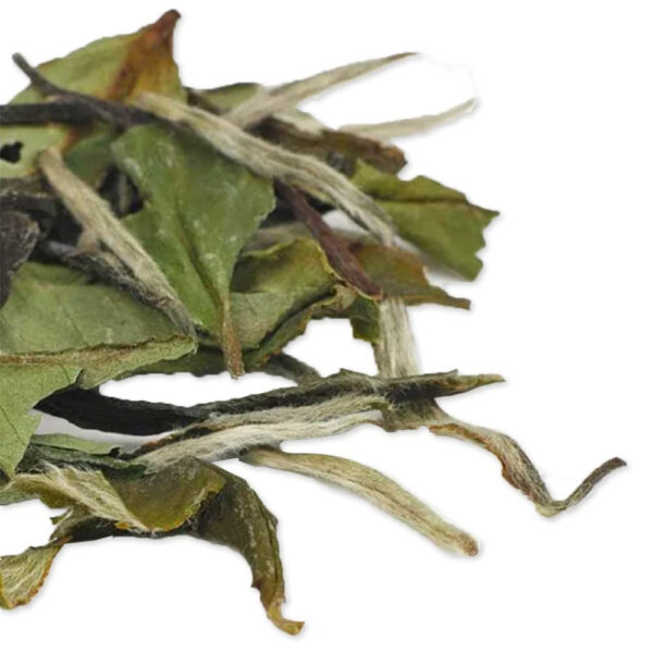 689381ef5bb566cbdfde9f360dca1c2a9a46a21e7316cb6ee4c27.jpg TIAN HU SHAN Sencha Green Tea Loose Leaf, Japanese green tea, 4 Ounce (Pack of 1)