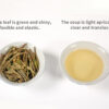 689381f3701938e9729089c1a2219c17cbaed6544df2fa5cb35be.jpg TIAN HU SHAN Sencha Green Tea Loose Leaf, Japanese green tea, 4 Ounce (Pack of 1)