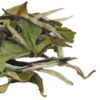 68938209eb798e367cbe4f3f1be319bb26c2ea84285afa03fda14.jpg TIAN HU SHAN Sencha Green Tea Loose Leaf, Japanese green tea, 4 Ounce (Pack of 1)