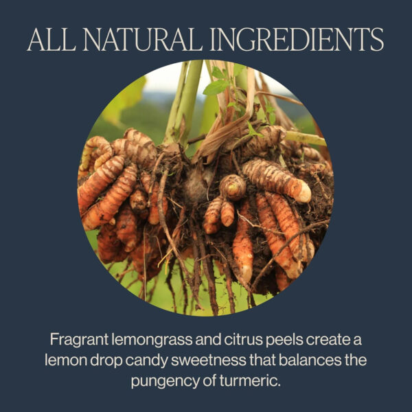 Rishi Tea Turmeric Ginger Herbal Tea - Organic Sachet Bags, Caffeine Free Ayurvedic Digestive Blend with Spicy Ginger & Citrus - 15 Count (Pack of 1)