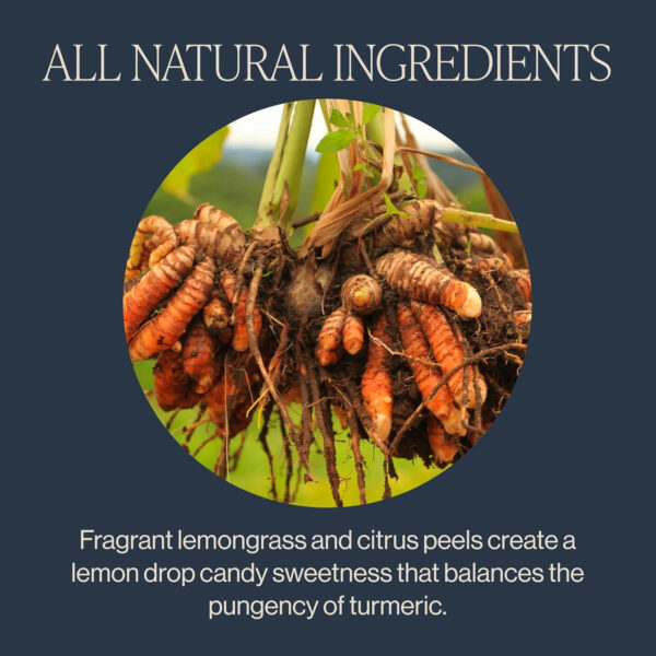 Rishi Tea Turmeric Ginger Herbal Tea - Organic Sachet Bags, Caffeine Free Ayurvedic Digestive Blend with Spicy Ginger & Citrus - 15 Count (Pack of 1)