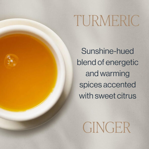 689382d08b52da0dcbb5130645ae4f86d84cb717e1bca7f79d9fe.jpg Rishi Tea Turmeric Ginger Herbal Tea - Organic Sachet Bags, Caffeine Free Ayurvedic Digestive Blend with Spicy Ginger & Citrus - 15 Count (Pack of 1)
