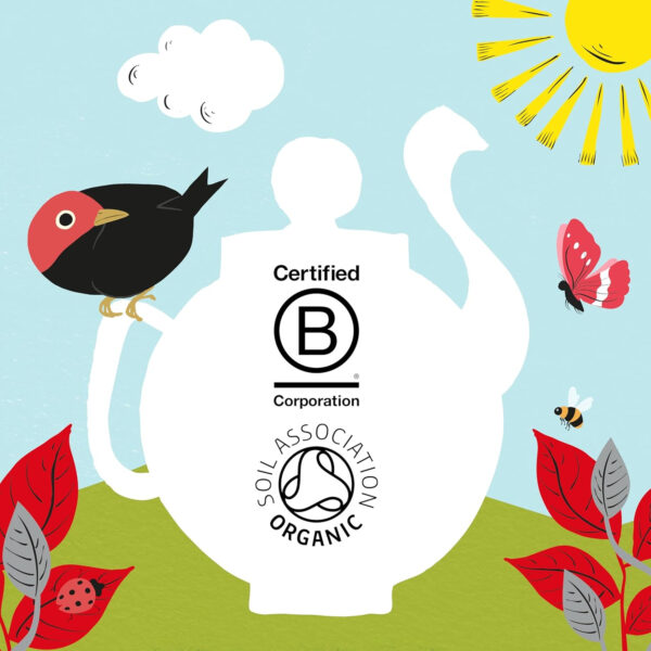 Clipper Tea Green Tea & Lemon Teabags – USDA Organic, Great Hot or Iced – Bright, Zippy, Natural, Fair & Delicious – 50 Tea Bags