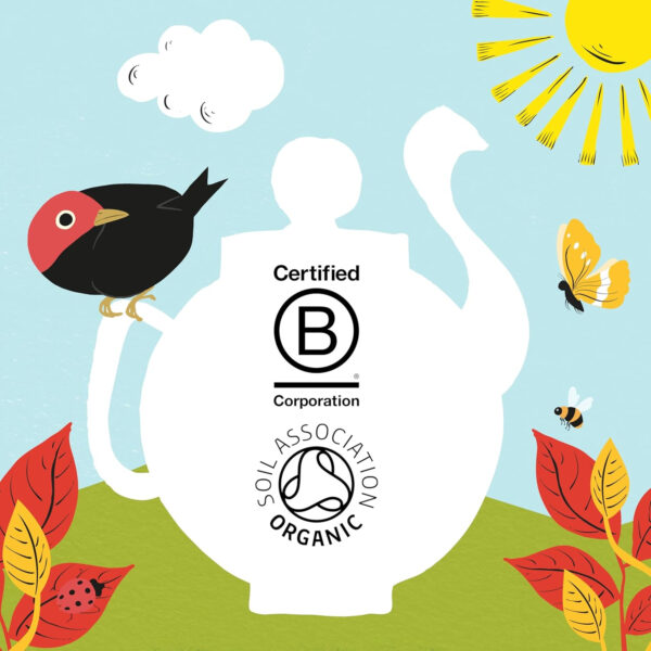 Clipper Tea Green Tea & Lemon Teabags – USDA Organic, Great Hot or Iced – Bright, Zippy, Natural, Fair & Delicious – 50 Tea Bags