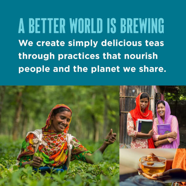 Teatulia Organic Jasmine Green Tea Bags (50 Pyramid Sachet Teabags) Whole Leaf Natural Green Tea Infused With Jasmine Flower In Bags. Premium 100% Compostable and Sustainably Grown In Bangladesh