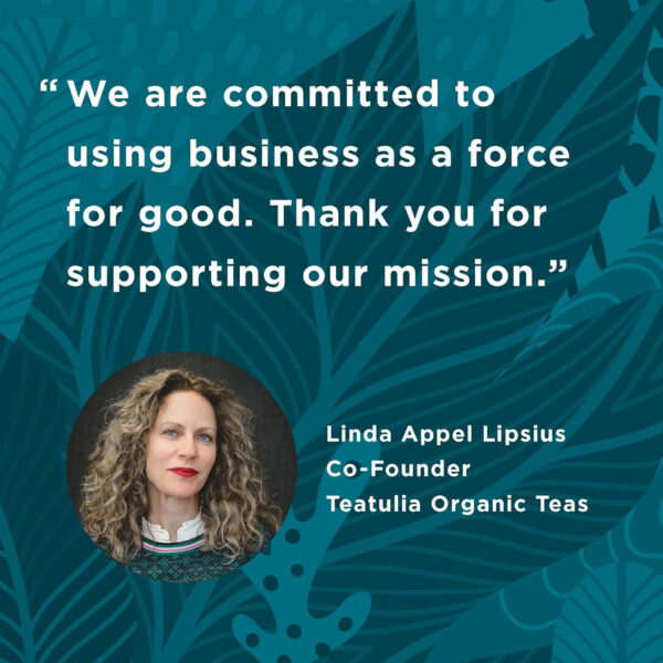 Teatulia Organic Jasmine Green Tea Bags (50 Pyramid Sachet Teabags) Whole Leaf Natural Green Tea Infused With Jasmine Flower In Bags. Premium 100% Compostable and Sustainably Grown In Bangladesh