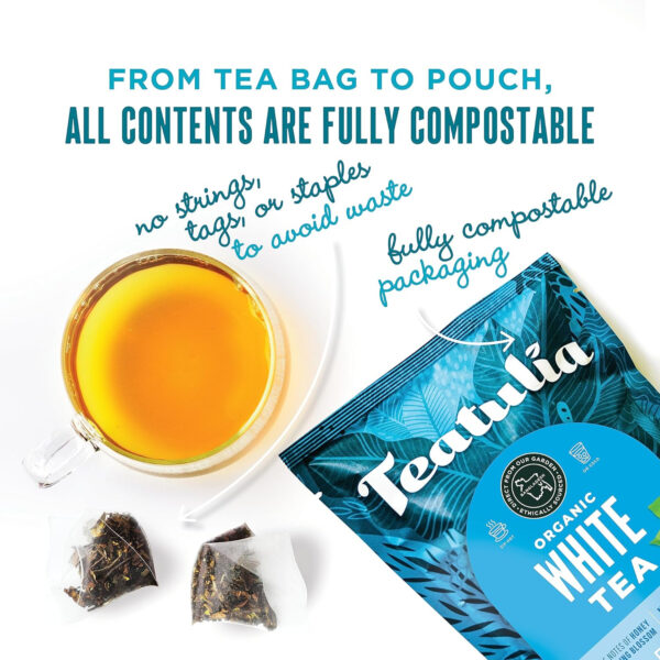 Teatulia Organic Jasmine Green Tea Bags (50 Pyramid Sachet Teabags) Whole Leaf Natural Green Tea Infused With Jasmine Flower In Bags. Premium 100% Compostable and Sustainably Grown In Bangladesh