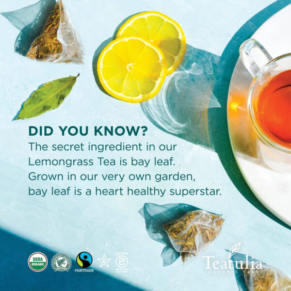 Teatulia Organic Jasmine Green Tea Bags (50 Pyramid Sachet Teabags) Whole Leaf Natural Green Tea Infused With Jasmine Flower In Bags. Premium 100% Compostable and Sustainably Grown In Bangladesh