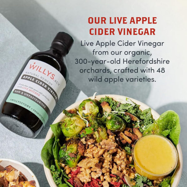 689387e35575ef659f5c3ed86d4e59e2d95a4c196abb43cd8b143.jpg Willy's Organic ACV Apple Cider Vinegar with Mother - Probiotocs for Detox and Gut Health. 16.9oz Glass Bottle