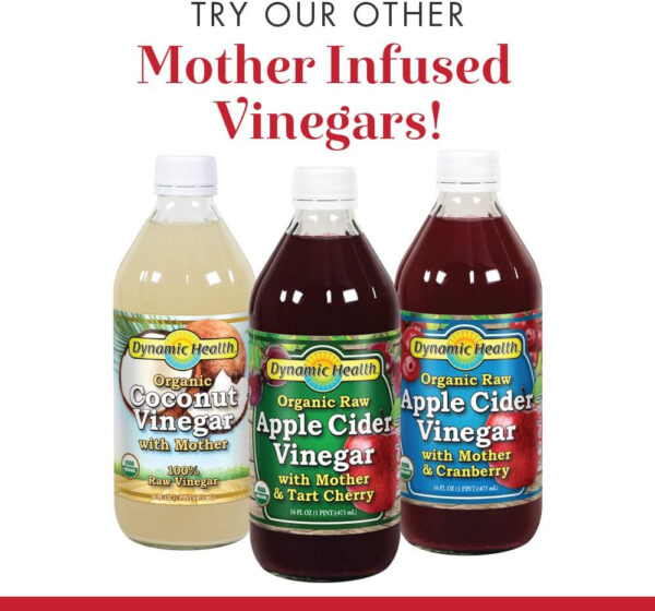 Dynamic Health Certified Organic Raw Apple Cider Vinegar with Mother | Unfiltered, Unpasteurized | 16 FL OZ