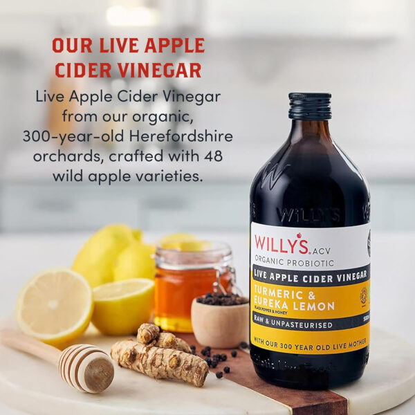 689389ccadd0e27acb440f94b535a93f35012f290a343fe523d96.jpg Willy's ACV Organic Probiotic Apple Cider Vinegar with Mother for Gut Health - with Turmeric & Eureka Lemon 16.9 fl oz