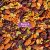 Nature's Garden Omega 3 Deluxe Mix - Trail Mix Nuts, Heart Healthy, Gluten Free, Cholesterol Free, Sodium Free, No Artificial Ingredients - 1.2 oz Bags (24 Individual Servings)