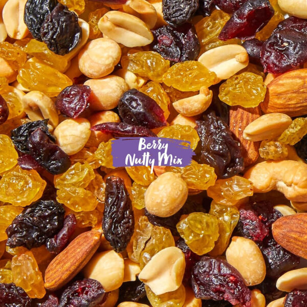 Nature's Garden Omega 3 Deluxe Mix - Trail Mix Nuts, Heart Healthy, Gluten Free, Cholesterol Free, Sodium Free, No Artificial Ingredients - 1.2 oz Bags (24 Individual Servings)