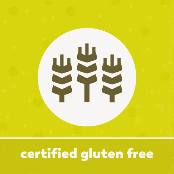 68938ceb7f25598120a84023f27db42ddc3048b839407202bc2a6.jpg Yupik Organic Protein Boost Trail Mix, 2.2 Lb, A Mix Of Cashews, Almonds, Pumpkin Seeds, Walnut, Cranberries, Pack of 1