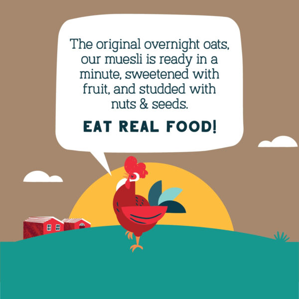 Seven Sundays Muesli Cereal Variety Pack - 4 Count, 12 Oz Bag - Certified Gluten Free Muesli - Non GMO, No Refined Sugar and Kosher