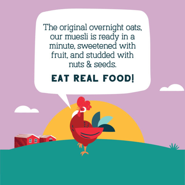 Seven Sundays Muesli Cereal Variety Pack - 4 Count, 12 Oz Bag - Certified Gluten Free Muesli - Non GMO, No Refined Sugar and Kosher