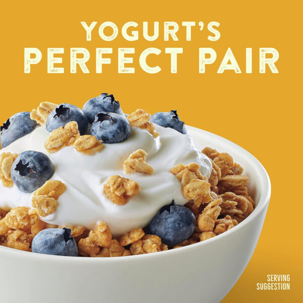 6893ac6f7494a6c71e645d011aaf7e5212e5301819898b090af9a.jpg Nature Valley Protein Granola, Oats and Honey Granola, Resealable Snack Pouch, Family Size, 17 oz