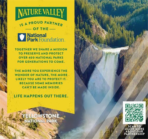 6893af02b7fa56bc6d7225e370792465001a1ac55b9d4e9c5e955.jpg Nature Valley Protein Chewy Snack Bars, Variety Pack, 15 Bars, 21.3 oz