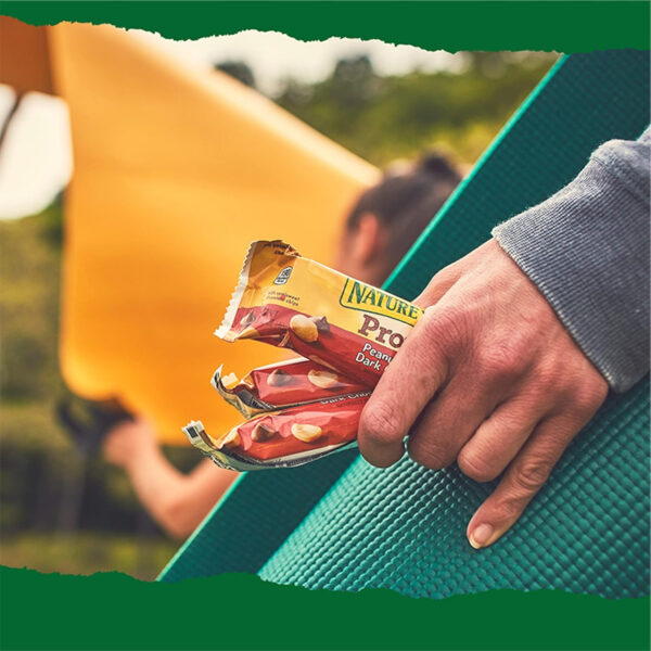 6893af1a51818a24435ded5d6546c051935e908da201d05f90af9.jpg Nature Valley Protein Chewy Snack Bars, Variety Pack, 15 Bars, 21.3 oz