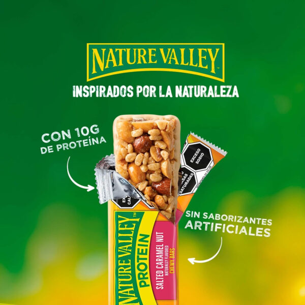 6893af28d2e3d6697f1a353dbbcb5e22249fe69d0f9a0cef14113.jpg Nature Valley Protein Chewy Snack Bars, Variety Pack, 15 Bars, 21.3 oz