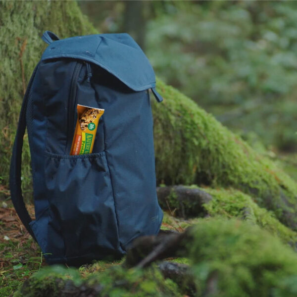 6893af39ab194c5ac5fbc858a68108407fbaa313bc8895c20f000.jpg Nature Valley Protein Chewy Snack Bars, Variety Pack, 15 Bars, 21.3 oz