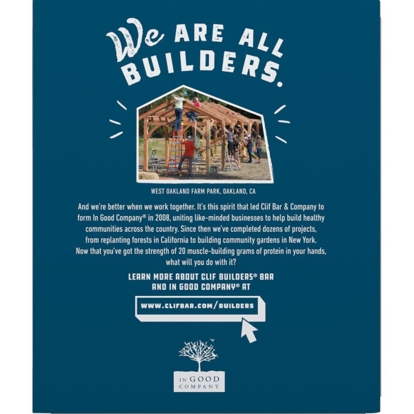 CLIF BUILDERS Protein Bars - Chocolate Peanut Butter Flavor - 20g Plant Based Protein - Gluten Free - Non-GMO - Low Glycemic - No Artificial Sweeteners - Value Pack, 2.4 oz. (12 Count)