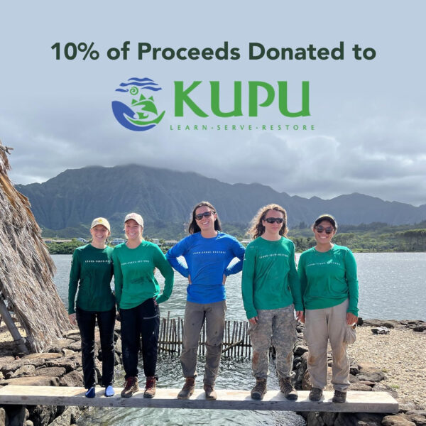 ALOHA Organic Plant Based Protein Bars |Peanut Butter Chocolate Chip | 1.98 Oz (Pack of 12) | Vegan, Low Sugar, Gluten Free, Paleo, Low Carb, Non-GMO, Stevia Free, Soy Free, No Sugar Alcohols