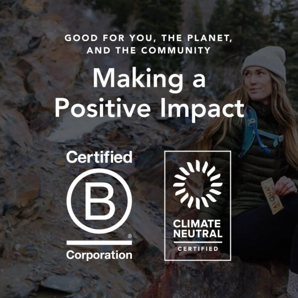 ALOHA Organic Plant Based Protein Bars |Peanut Butter Chocolate Chip | 1.98 Oz (Pack of 12) | Vegan, Low Sugar, Gluten Free, Paleo, Low Carb, Non-GMO, Stevia Free, Soy Free, No Sugar Alcohols